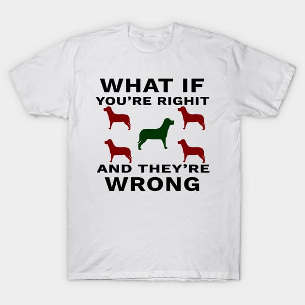 What If You're Right And They're Wrong T-Shirt by YassShop